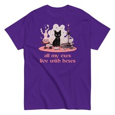 All My Exes Live With Hexes T-Shirt Witchy Black Cat Funny Witch Unisex Tee picture