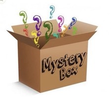 Mystery Resellers Clothing Box Women  -- Various Brands/Sizes 10-20 Items picture