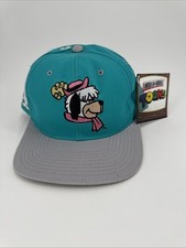 1993 American Needle Toons Block Head Snapback Hat -Dum Dum Deadstock picture