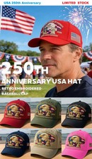 USA 250th Anniversary Eagle Flag Embroidered Patriotic Baseball Cap 1776-2026 picture