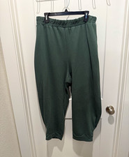 FP Beach Studio City relaxed pants in green. Size XL. picture