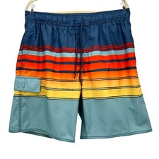 NEW U.S. Apparel Mens Large Swim Trunks Horizons Dusk Striped Multicolor Lined picture