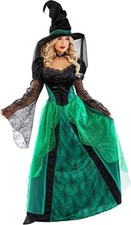 Deluxe Women`s Green Witch Costume & Hat Adult Witch Halloween Dress S - 3XL picture