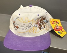 Vintage Deadstock 1994 Looney Tunes Wiley Coyote Road Runner Prime Time Hat NWT picture