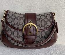 Coach handbag CJ814 Birdget - Underground liquid container in ancient times picture