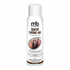 Moneysworth & Best Quick Shine 48 Aerosol Spray - Instant Leather and Shoe Gloss picture