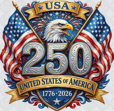 Unisex USA 250th Anniversary T-Shirt Eagle Flag 1776-2026 Graphic Tee 5XL picture