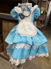 DISNEY ALICE IN WONDERLAND ALICE SMALL 4--6X picture