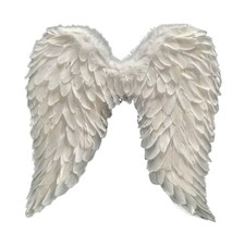 White Angel Wings Halloween Costume Wings with Adjustable Straps for Theme Party picture