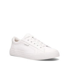 Taos Plim Soul Lux Shoes Womens Lace Up Sneakers Many Colors and Sizes NIB picture