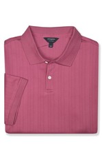 Banana Republic Mens Berry Red Luxe Touch Stripe Polo Shirt, 2XL XXL BR-021 picture