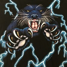 American Thunder T-Shirt sz L Vintage Black Panther Excellent Condition RARE💎 picture