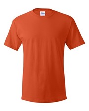 Hanes 5280 Men's ComfortSoft 100% Cotton Crewneck Blank T-Shirt (Sizes S-2XL) picture