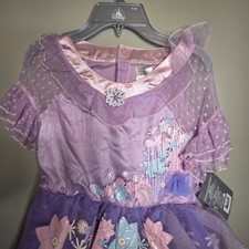 Disney Parks Isabela Madrigal Encanto Kids Costume Girls 9/10 picture